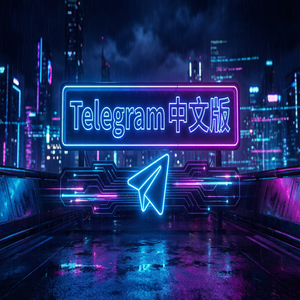 纸飞机中文版注册账号全流程图文教程